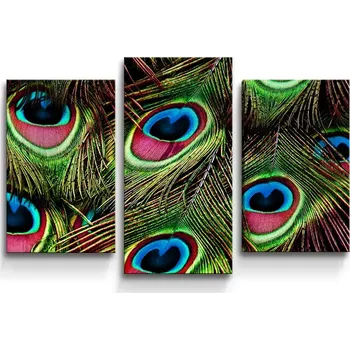 Obraz Sablio Obraz - 3-dílný Paví peří - 75x50 cm