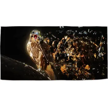 Osuška Sablio Ručník Dravec - 50x100 cm