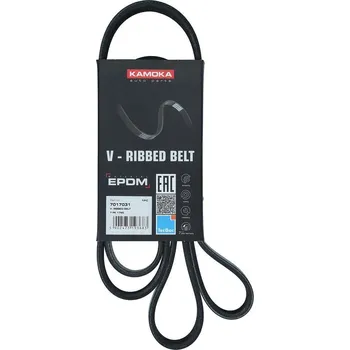 ozubený klínový řemen KAMOKA 7017031