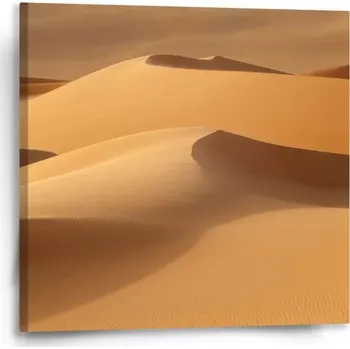 Obraz Sablio Obraz Písečné duny - 50x50 cm