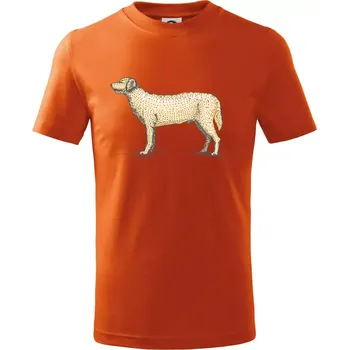 Chlapecké tričko Vintage Labrador - Tričko dětské bavlněné - 98 cm / 2 roky ( Oranžová )