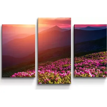 Obraz Sablio Obraz - 3-dílný Rozkvetlá příroda - 75x50 cm