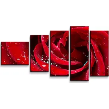 Obraz Sablio Obraz - 5-dílný Růže - 100x60 cm