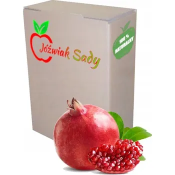 Šťáva z granátového jablka Jóźwiak Sady 100% 3000 ml NFC