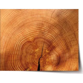 Plakát Sablio Plakát Dřevo 2 - 60x40 cm