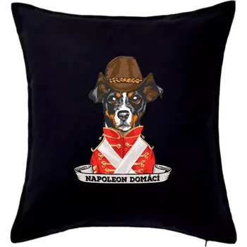 Polštář Napoleon domácí pes kříženec - Polštář 50x50 - 50x50 - Pouze potah ( Černá )