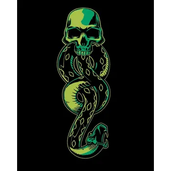 Obraz MALOVÁNÍ PODLE ČÍSEL Obrázek k vymalování Temné znamení Harry Potter 40x50 cm