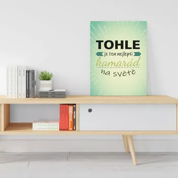 Plechová cedule Sablio Dárková cedulka Tohle je ten nejlepší kamarád na světě: 30x40 cm