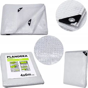 Krycí plachta Plachta 100 g/m2 6 x 10 m