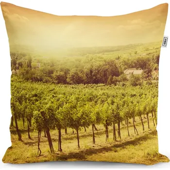 Polštář Sablio Polštář Vinice - 40x40 cm