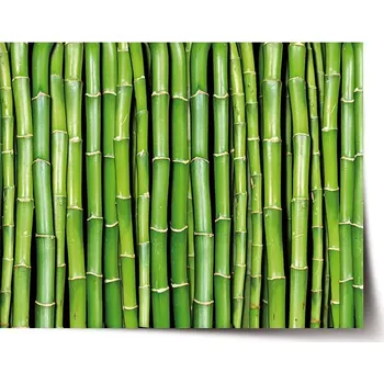 Plakát Sablio Plakát Bambus - 90x60 cm