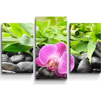 Obraz Sablio Obraz - 3-dílný Růžová orchidej - 75x50 cm