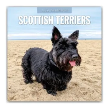 Diář Scottish Terrier - Scotchterrier 2026 - 16-Monatskalender (EN)