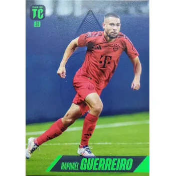 Sběratelská karetní hra Raphael Guerreiro