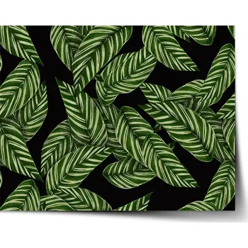 Plakát Sablio Plakát Abstrakce listů - 60x40 cm