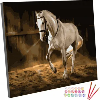 Obraz OBRAZ MALOVÁNÍ PODLE ČÍSEL Na rámu 40x50 cm Kůň