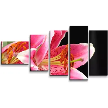 Obraz Sablio Obraz - 5-dílný Lilie - 100x60 cm
