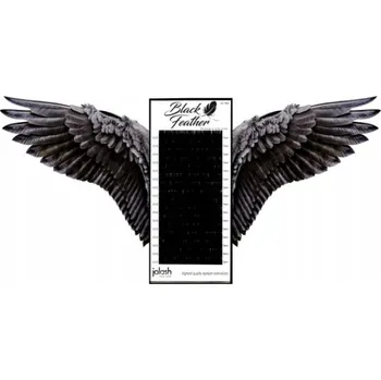 Umělé řasy Řasy Jolash Black Feather Volume C 0,07 12 mm černé