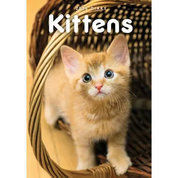 Diář Kittens A5 Diary 2026