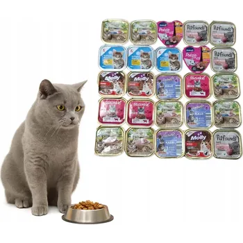 Krmivo pro kočku Mokré krmivo pro kočky vaničky 34x100g + Pamlsky