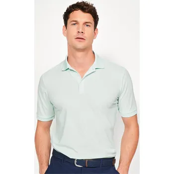 Pánské tričko INESIS Pánské golfové polo s krátkým rukávem WW500 L MODRÁ|ZELENÁ