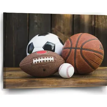 Obraz Sablio Obraz Sportovní míče - 60x40 cm