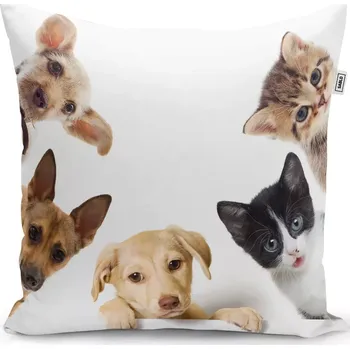 Polštář Sablio Polštář Štěňátka a koťátka - 50x50 cm