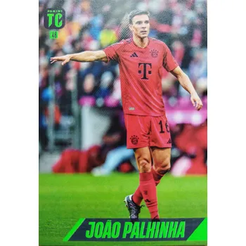 Sběratelská karetní hra Joao Palhinha