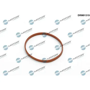 Systém vstřikování Těsnění, hrdlo škrtící klapky DR.MOTOR DRM01319