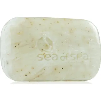 Mýdlo Sea of Spa Dead Sea Treatment tuhé mýdlo s mořskými řasami 125 g