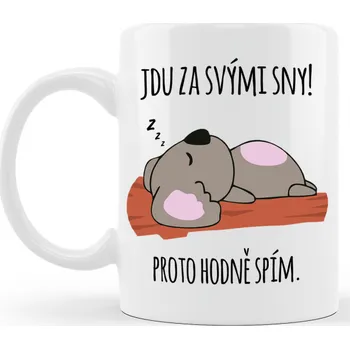 Ahome CZ Hrneček Jdu za svými sny