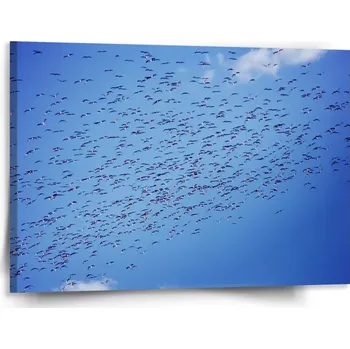 Obraz Sablio Obraz Hejno ptáků - 150x110 cm