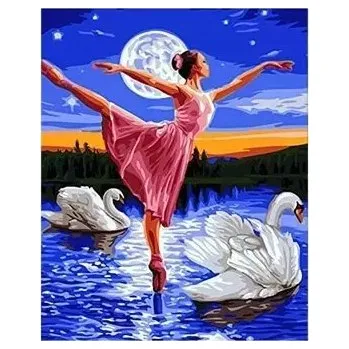 Obraz OBRAZ Č. BALETKY A LABUTI