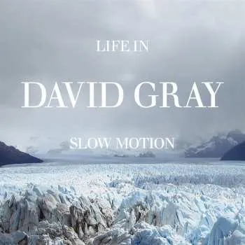 Zahraniční hudba LP David Gray: Life In Slow Motion (20th Anniversary Edition) (black Vinyl) 2025