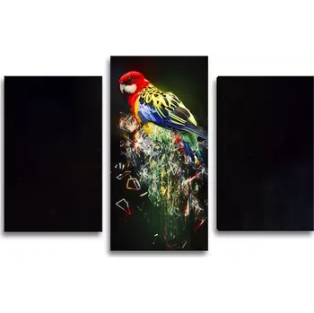 Obraz Sablio Obraz - 3-dílný Barevný papoušek - 75x50 cm