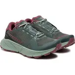 Běžecké boty Dynafit ULTRA 100 Gtx GORE-TEX W 0713 Šedá 38