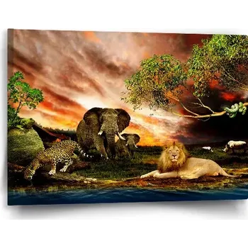 Obraz Sablio Obraz Zvířata ze Sahary - 60x40 cm