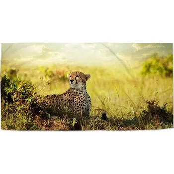 Osuška Sablio Ručník Gepard - 30x50 cm