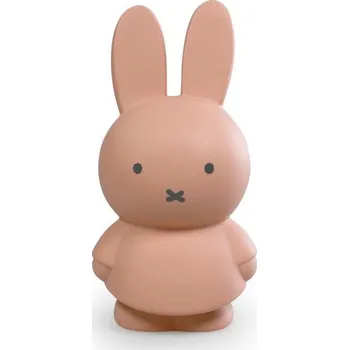 Pokladnička Atelier Pierre Miffy Powder