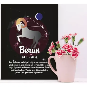 Plechová cedule Sablio Dárková cedulka Beran: 30x40 cm