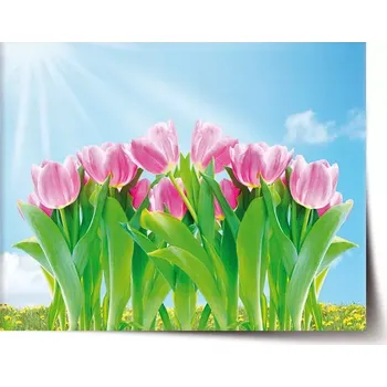 Plakát Sablio Plakát Růžové tulipány - 60x40 cm