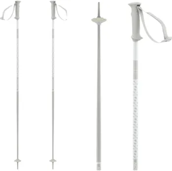 Sjezdová hůlka Sjezdové hole SALOMON Polar Access White Bílá 125 cm