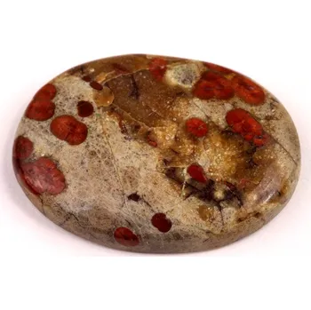 Přírodní kámen Kabošon Mexican Peanut Wood č.7627 (40x30x7mm)