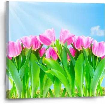 Obraz Sablio Obraz Růžové tulipány - 50x50 cm