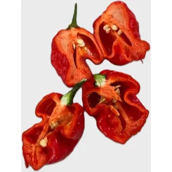 Koření Čerstvá Paprika Carolina Reaper – Extrémní pálivost pro odvážné!