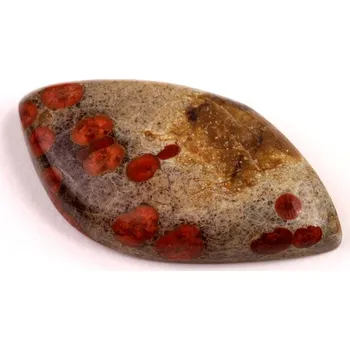 Přírodní kámen Kabošon Mexican Peanut Wood č.7623 (43x23x8mm)