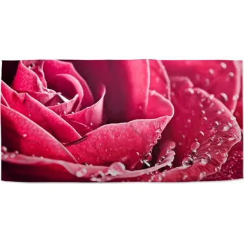 Osuška Sablio Ručník Detail růže - 30x50 cm