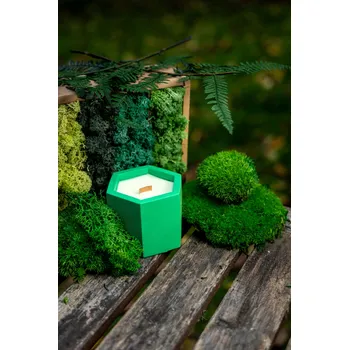 Svíčka SOJOVÁ VONNÁ SVÍČKA S DŘEVĚNÝM KNOSTEM V SÁDROVÉM OBALU