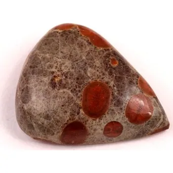 Přírodní kámen Kabošon Mexican Peanut Wood č.7643 (22x18x7mm)