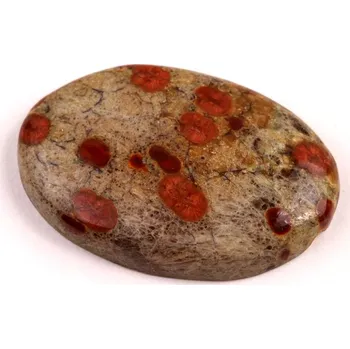 Přírodní kámen Kabošon Mexican Peanut Wood č.7641 (36x25x7mm)